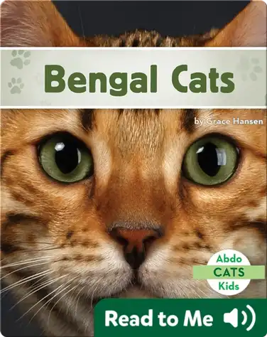 Bengal Cats book