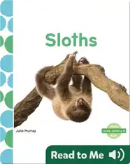 Sloths