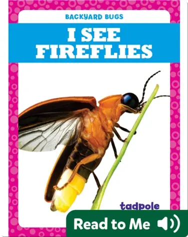 I See Fireflies book