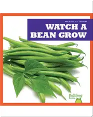 Watch a Bean Grow