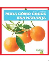 Mira cómo crece una naranja (Watch an Orange Grow)