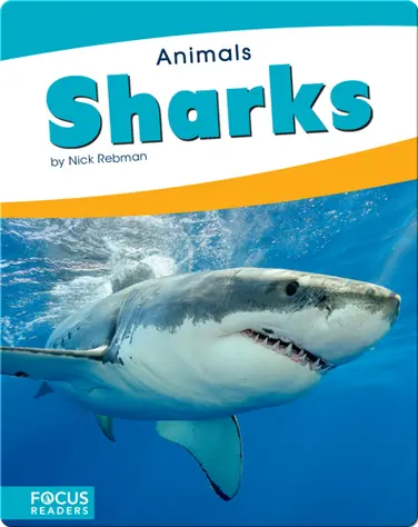 Animals: Sharks book
