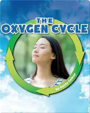 The Oxygen Cycle