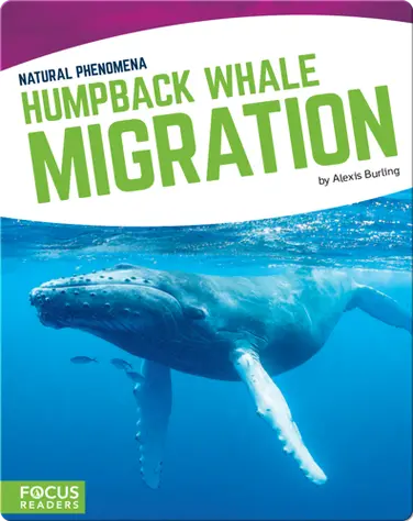 Natural Phenomena: Humpback Whale Migration book