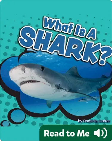 What Is a Shark? book