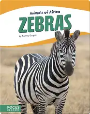 Animals of Africa: Zebras