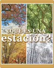 ¿Qué es una estación?: What is a Season?