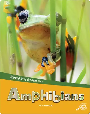 Animals Have Classes Too!: Amphibians book