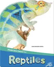 Animals Have Classes Too!: Reptiles