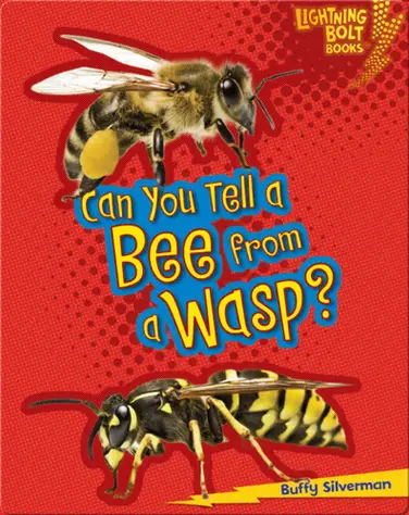 Can You Tell a Bee from a Wasp? book
