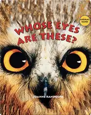 Whose Eyes Are These?