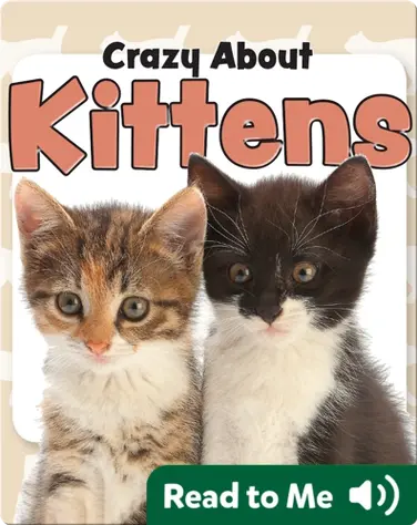 Crazy About Kittens book
