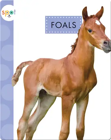 Baby Farm Animals: Foals book