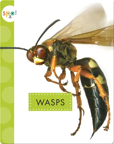 Creepy Crawlies: Wasps book