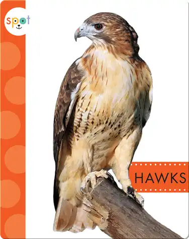 Backyard Animals: Hawks book