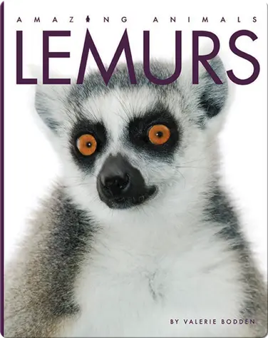 Amazing Animals: Lemurs book