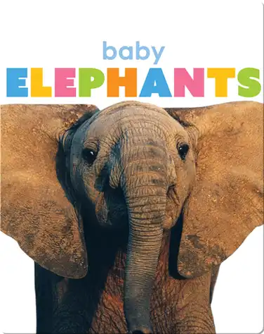 Starting Out: Baby Elephants book