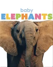 Starting Out: Baby Elephants