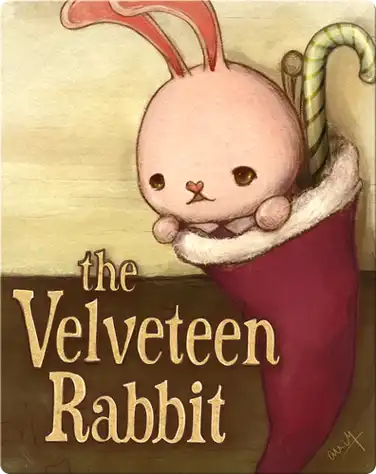 The Velveteen Rabbit book