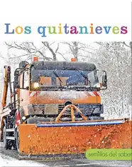 Los quintanieves