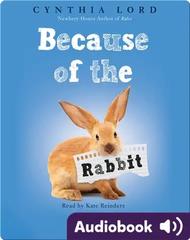 Because of the Rabbit book