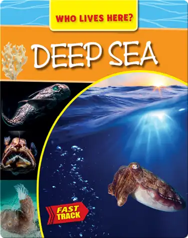 Deep Sea book