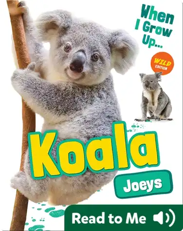 Koala Joeys book