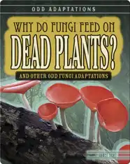 Why Do Fungi Feed on Dead Plants? And Other Odd Fungi Adaptations