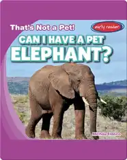 Can I Have a Pet Elephant?