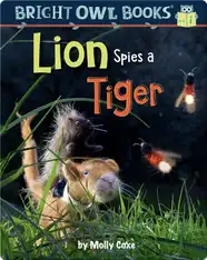 Lion Spies a Tiger