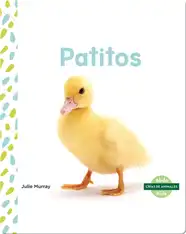 Patitos