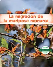 La migración de la mariposa monarca
