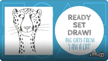 Ready Set Draw: I am a Cat book