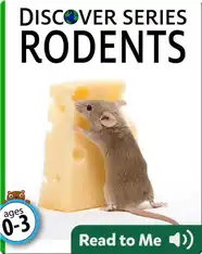 Rodents