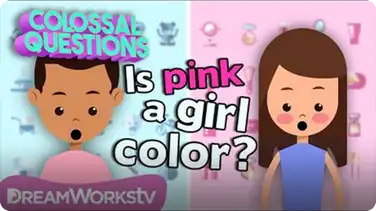 When Did Pink Become a "Girl" Color? | COLOSSAL QUESTIONS book