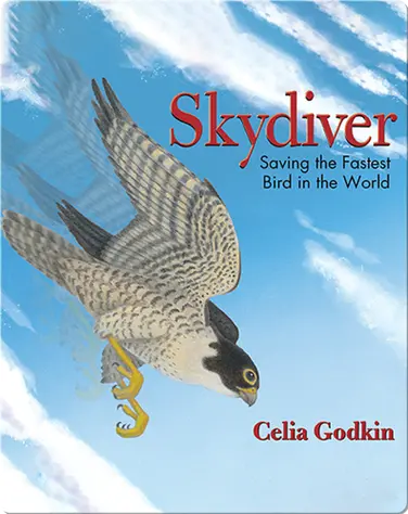 Skydiver book