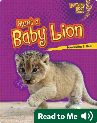 Meet a Baby Lion book
