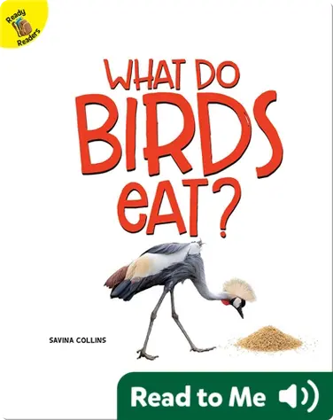 What Do Birds Eat? book