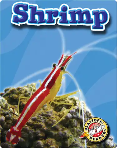 Shrimp: Oceans Alive book