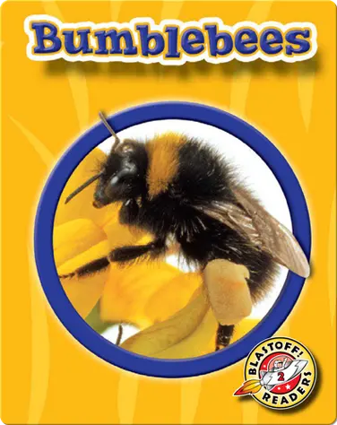 World of Insects: Bumblebees book