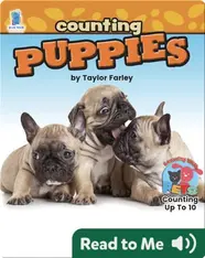 Counting Puppies
