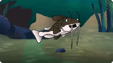 I’m A Catfish book