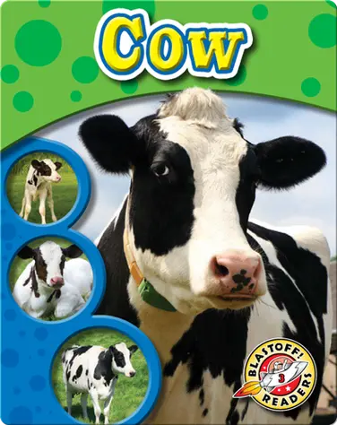 The Life Cycle of a Cow book