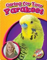Caring for Your Parakeet: Pet Care Library