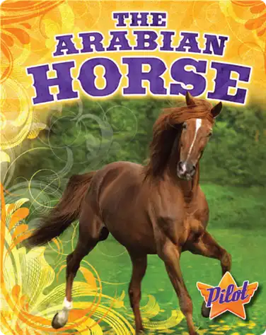 The Arabian Horse book