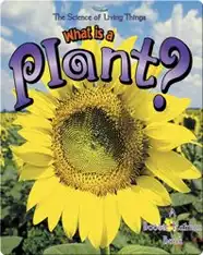 What is a Plant?