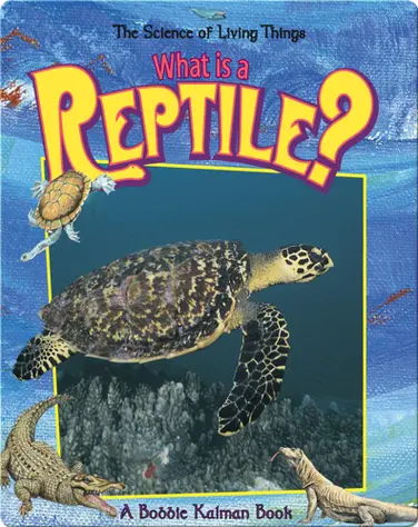 What is a Reptile? book
