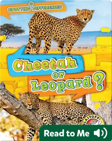 Cheetah or Leopard? book