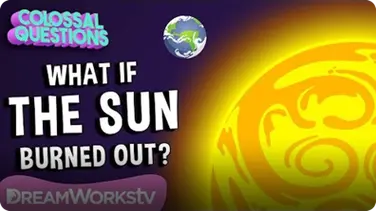 What Would Happen If The Sun Went Out? | COLOSSAL QUESTIONS book