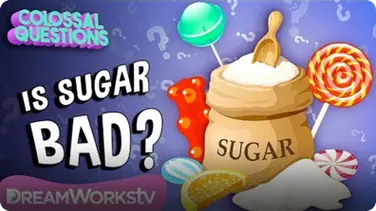 Is Sugar Bad For You? | COLOSSAL QUESTIONS book